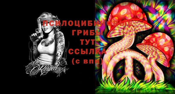 apvp Пересвет