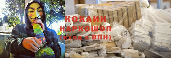 винт Абаза