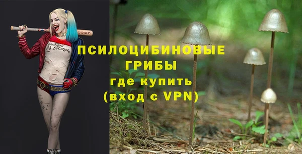 COCAINE Переславль-Залесский