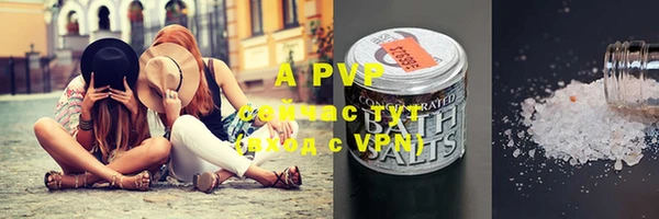 apvp Пересвет